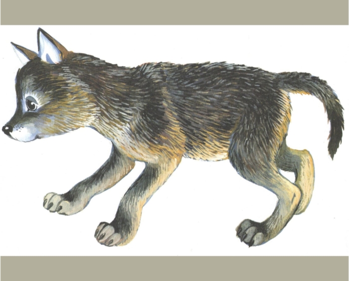 Pictures of Wolves For Sketching - 150 Drawing Ideas