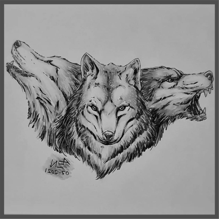 Pictures of Wolves For Sketching - 150 Drawing Ideas