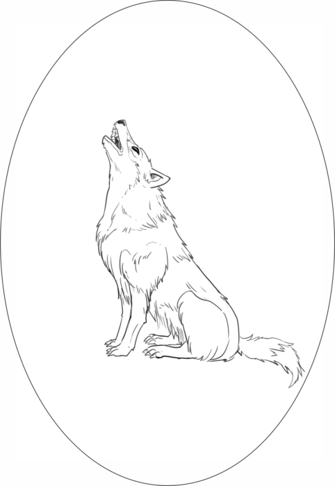 Bilder von Wölfen zum Skizzieren - 150 Zeichenideen