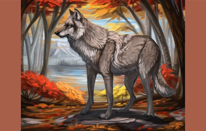 Картинки волков для срисовки - 150 идей для рисования