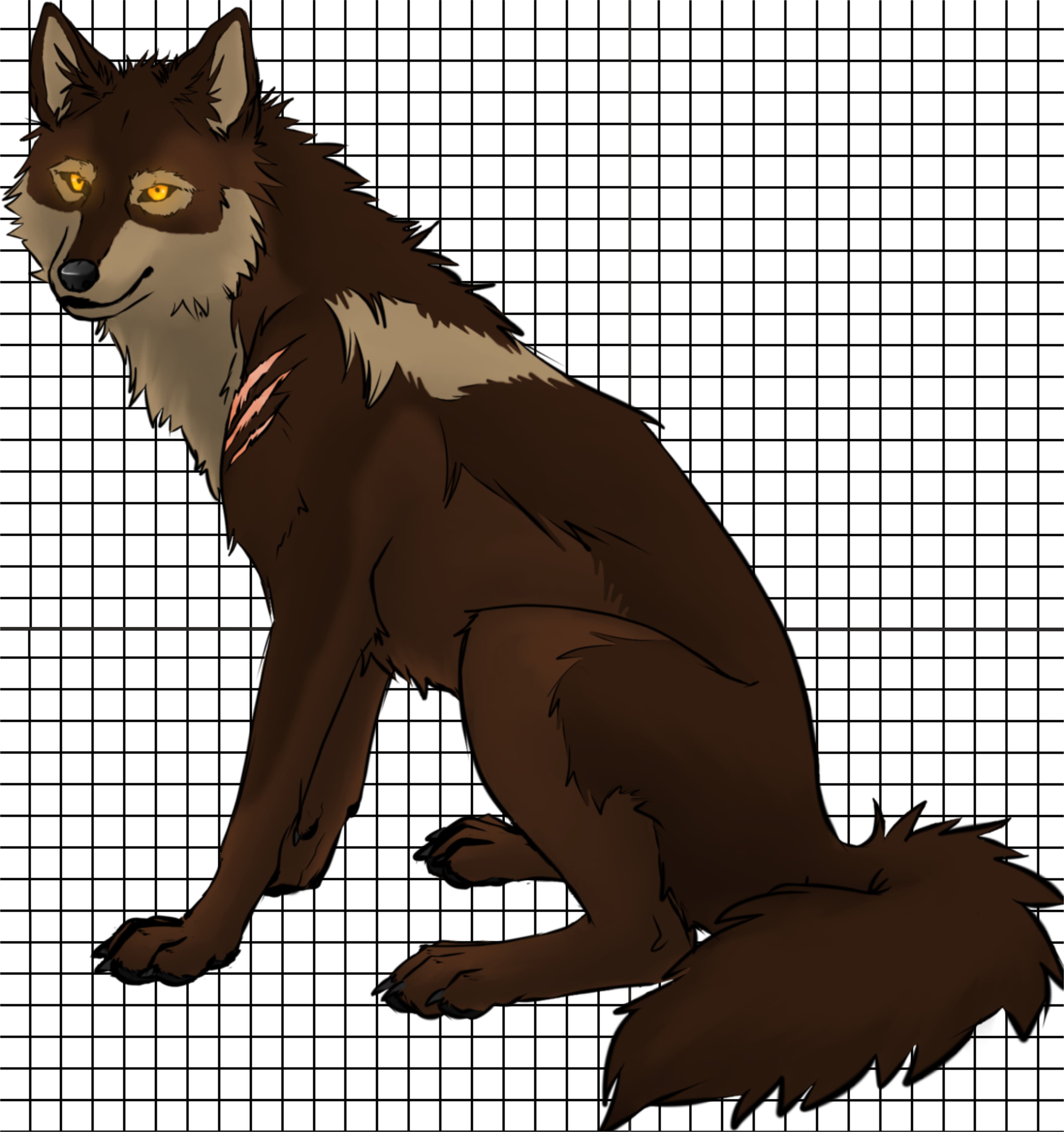 Темно коричневый волк