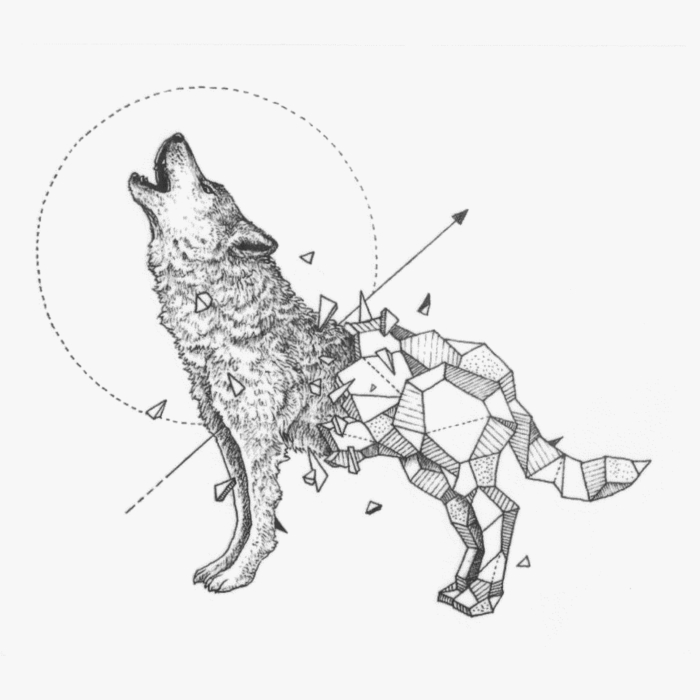 スケッチ用のオオカミの写真、150の描画アイデア