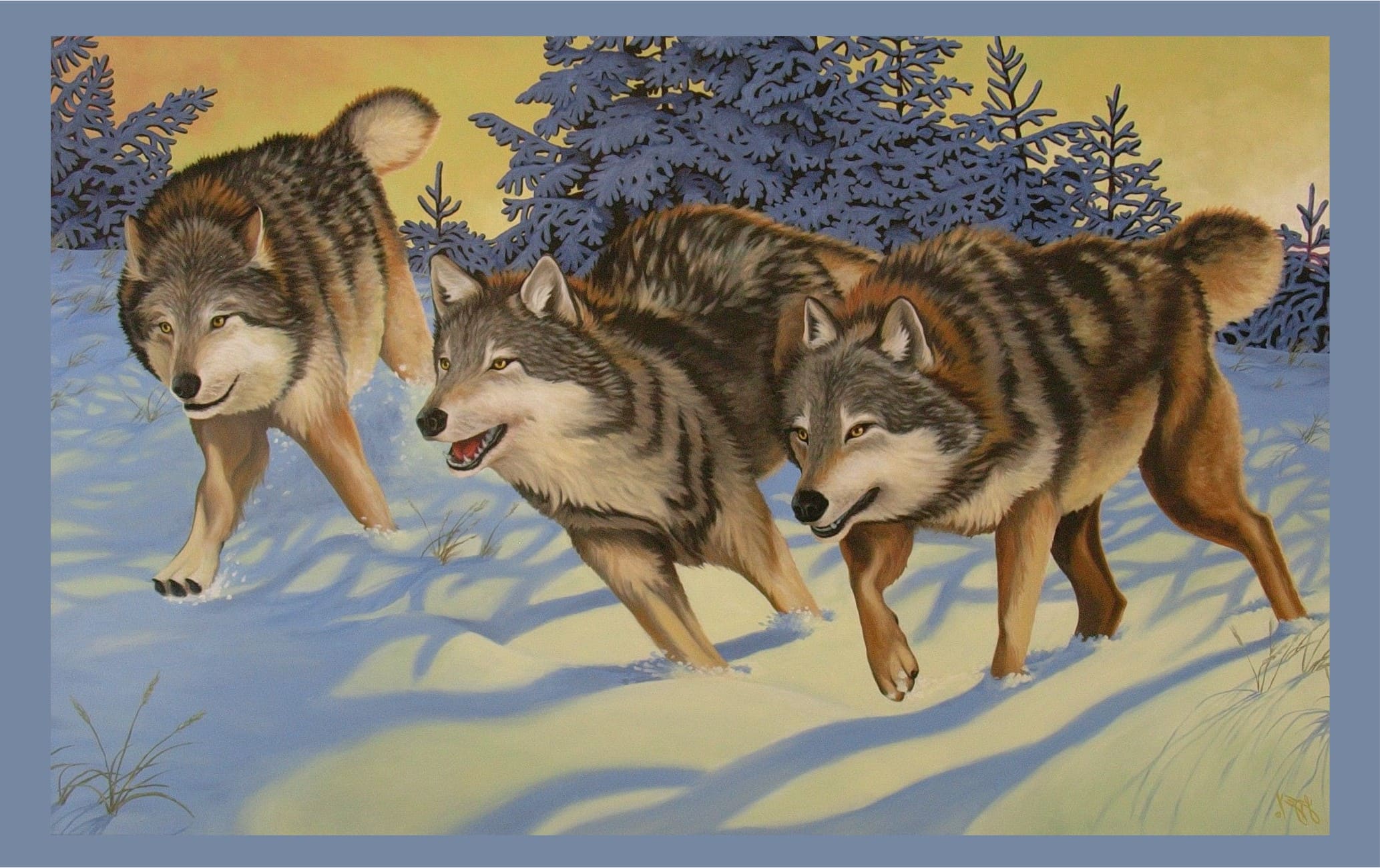 Волк детям о животных. Волки Лесные санитары. Волк в лесу. Волк санитар леса. Картинки с изображением волка.