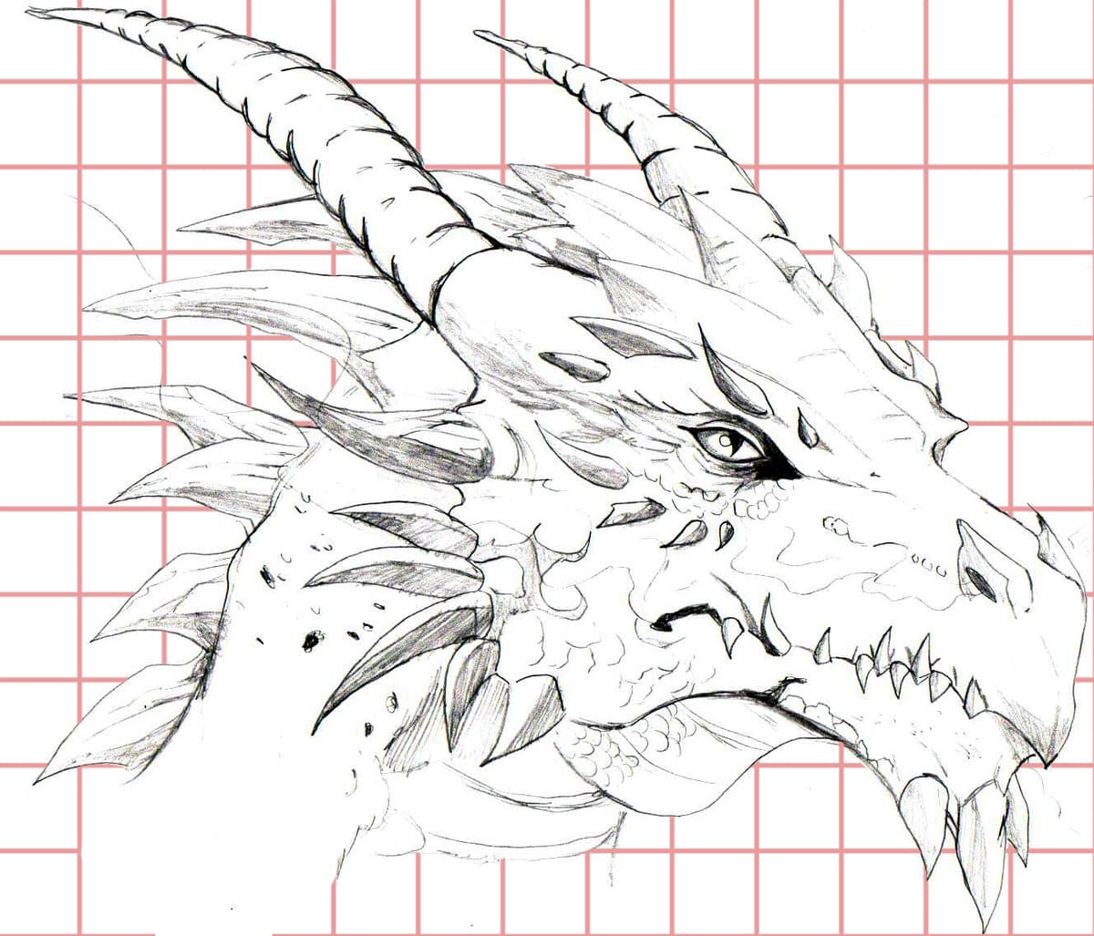 Дракон картинки для срисовки. Голова дракона карандашом. Рисунок дракона для срисовки. Дракон рисунок карандашом. Дракон набросок.