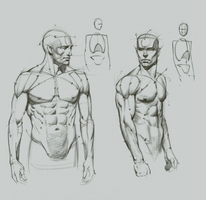 Desenhos do corpo humano para esboçar