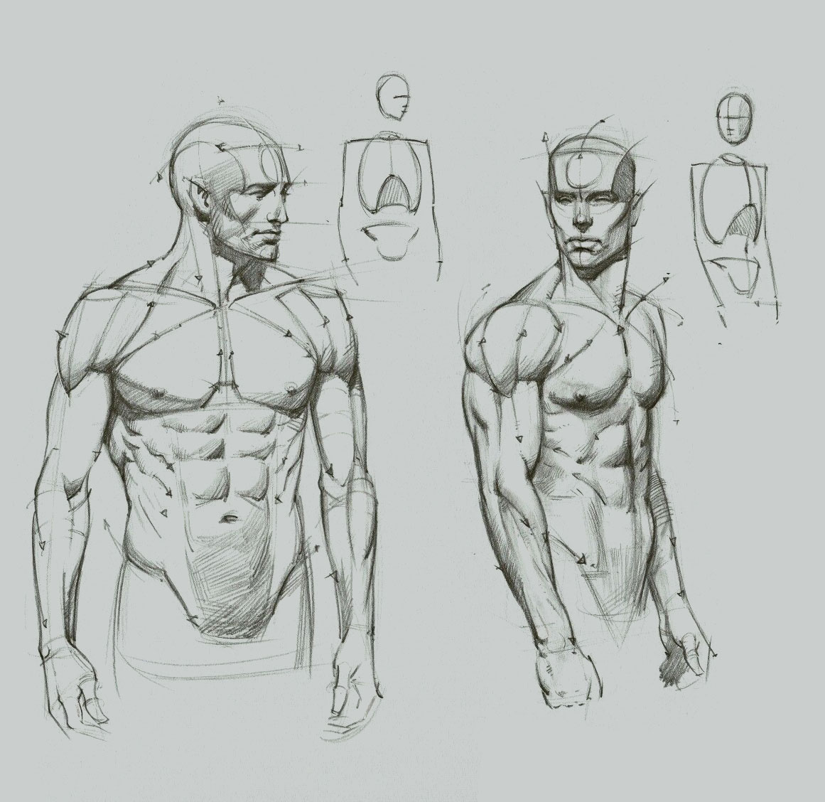 Как рисовать мужское тело