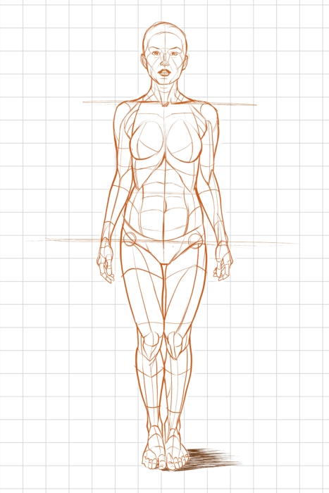 Kresby lidského těla pro skicování