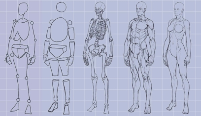 Scratch Drawing Body Drawings of Human Body For Sketching