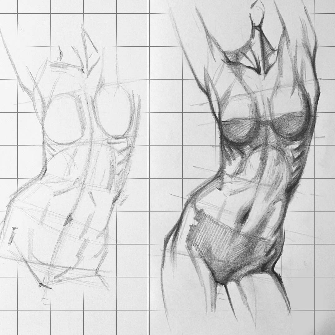 Женское тело рисовать