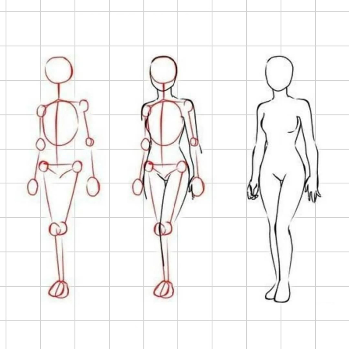 Рисунки человеческого тела для срисовки