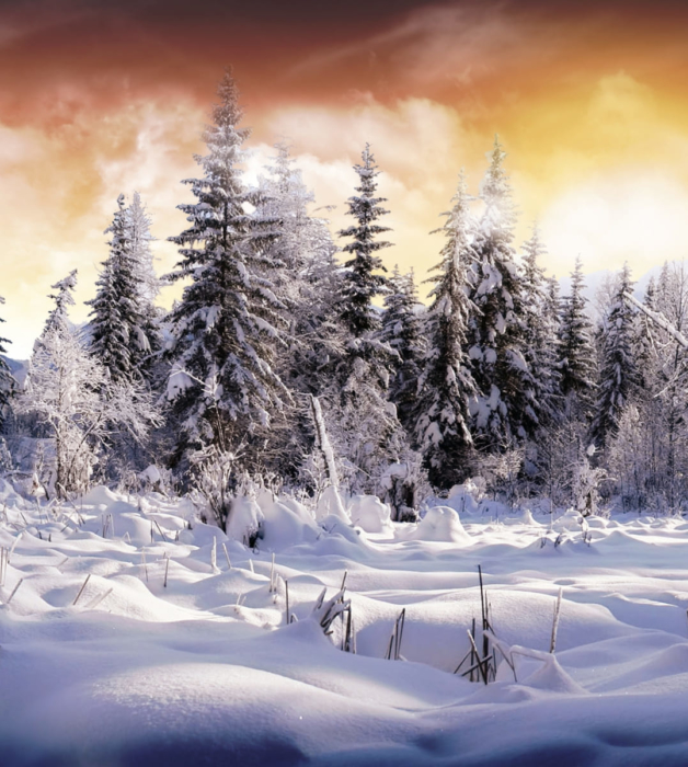 Photos de profil d'hiver - Beaux avatars gratuits