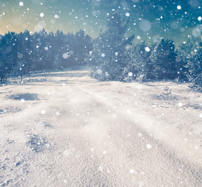 Winter Profile Pictures - 200 Beautiful Avatars For Free