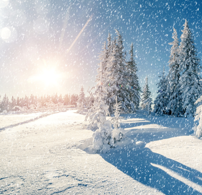 Zimowe zdjęcia profilowe - 200 pięknych awatarów za darmo