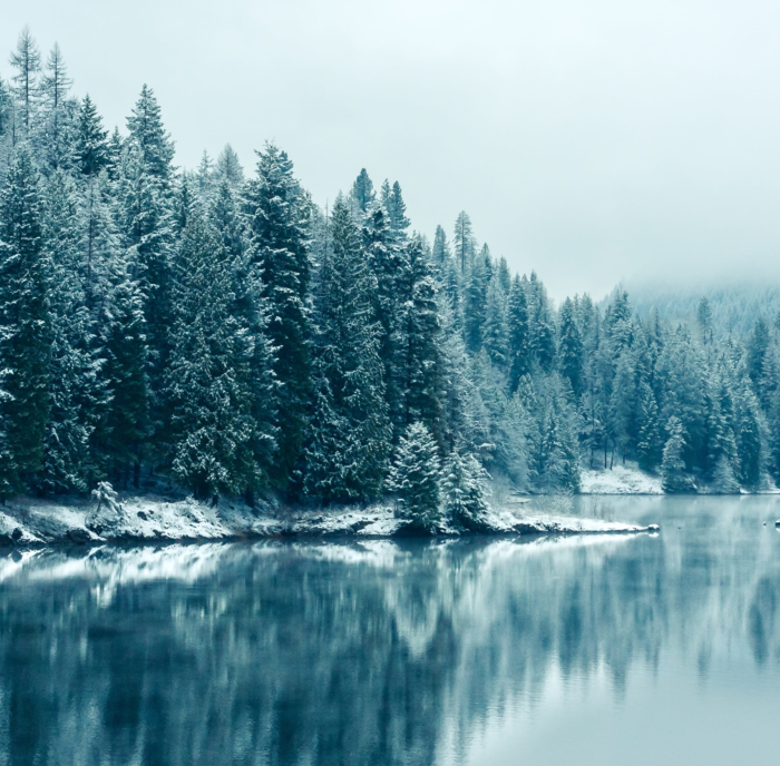 Imagens de perfil de inverno - 200 lindos avatares de graça