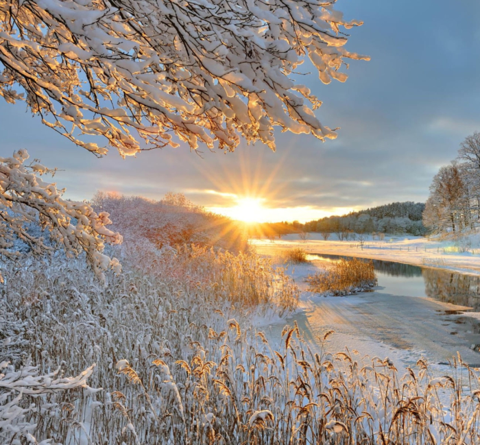 Imagens de perfil de inverno - 200 lindos avatares de graça