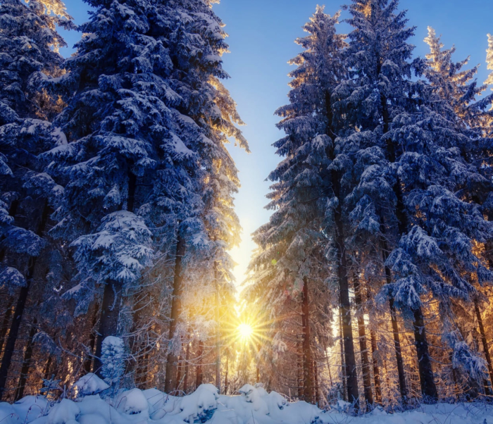 Photos de profil d'hiver - Beaux avatars gratuits