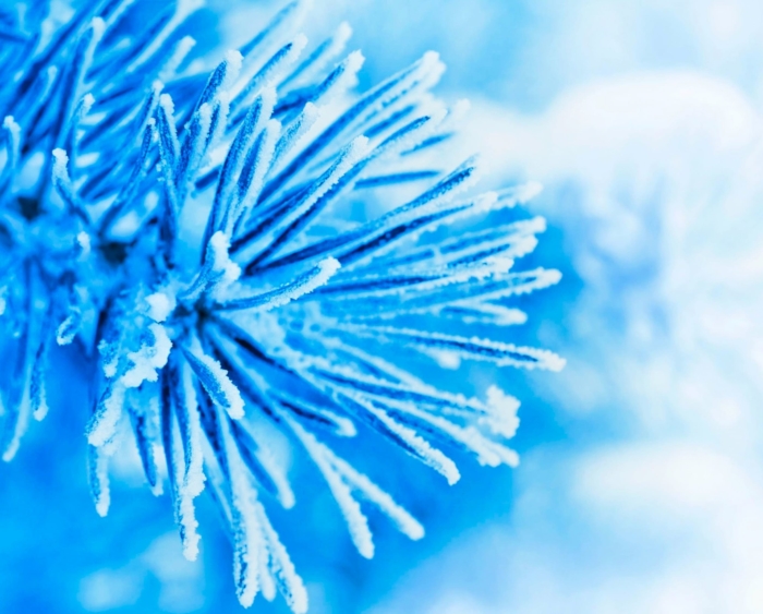 Zimní profilové obrázky - 200 krásných avatarů zdarma