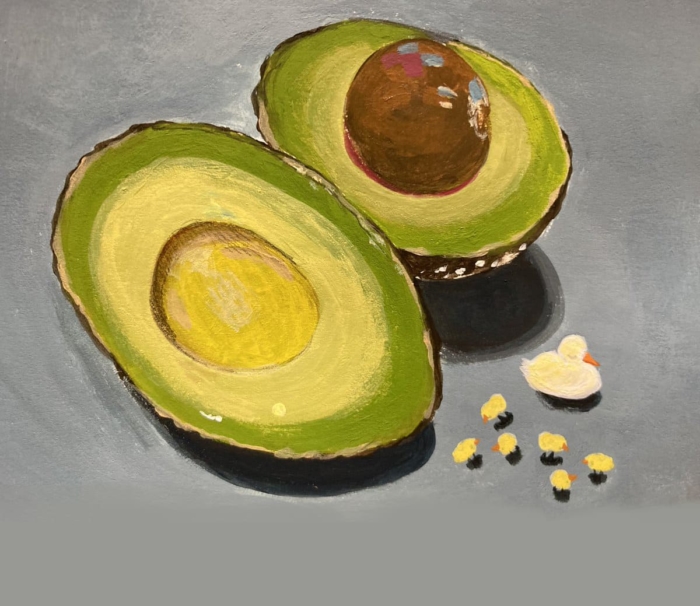 Avocado-Zeichnungen und Bilder zum Skizzieren