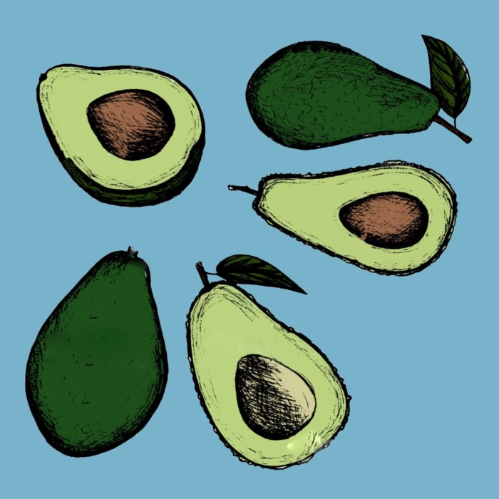 Авокадо рисунки и картинки для срисовки