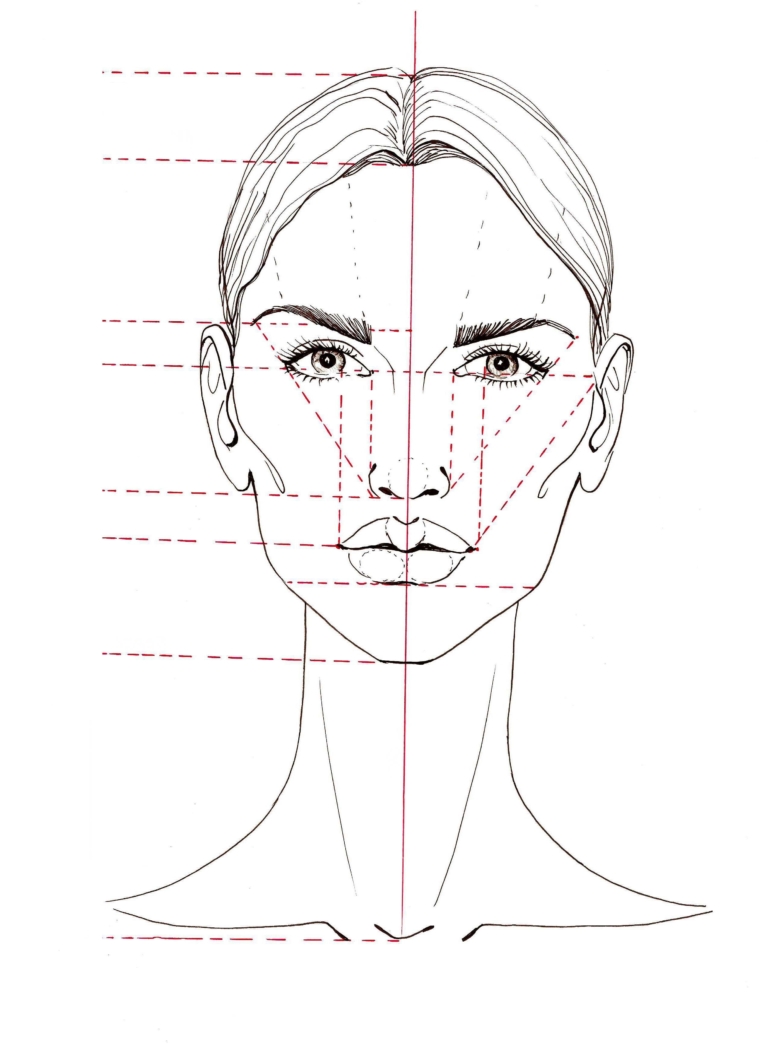 Пропорции лица человека для рисования схема