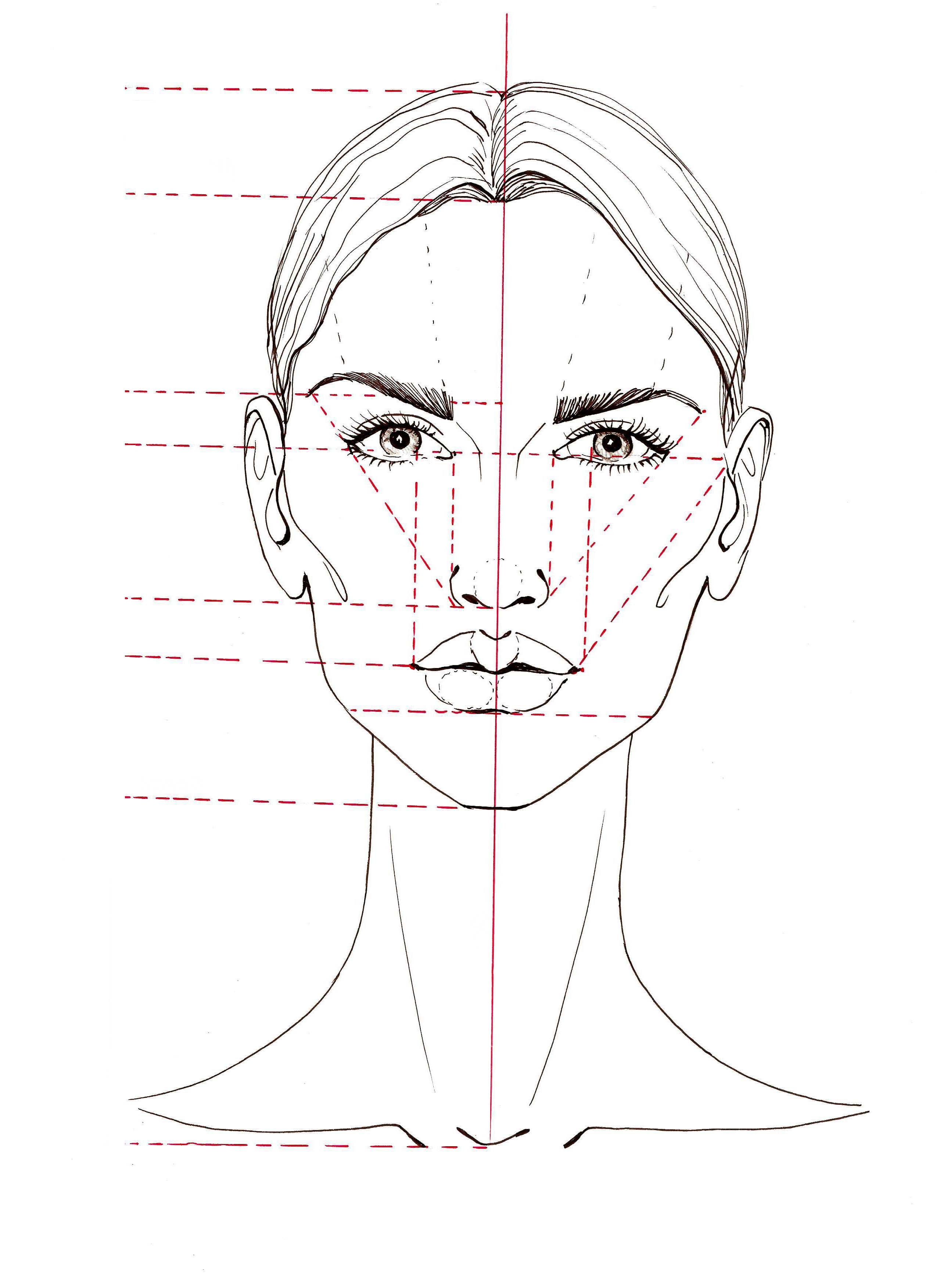 Пропорции лица человека при рисовании портрета схема