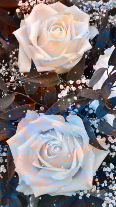 Roses Phone Wallpaper in HD 2k, 4k