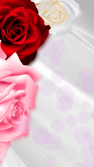 Roses Phone Wallpaper in HD 2k, 4k