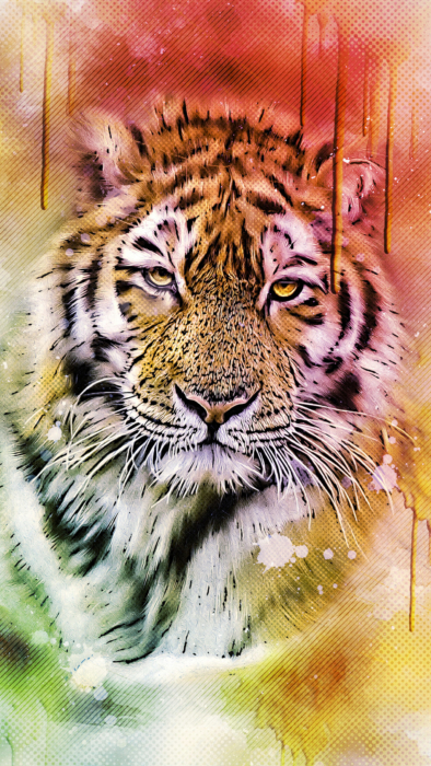 Tiger Phone Wallpaper