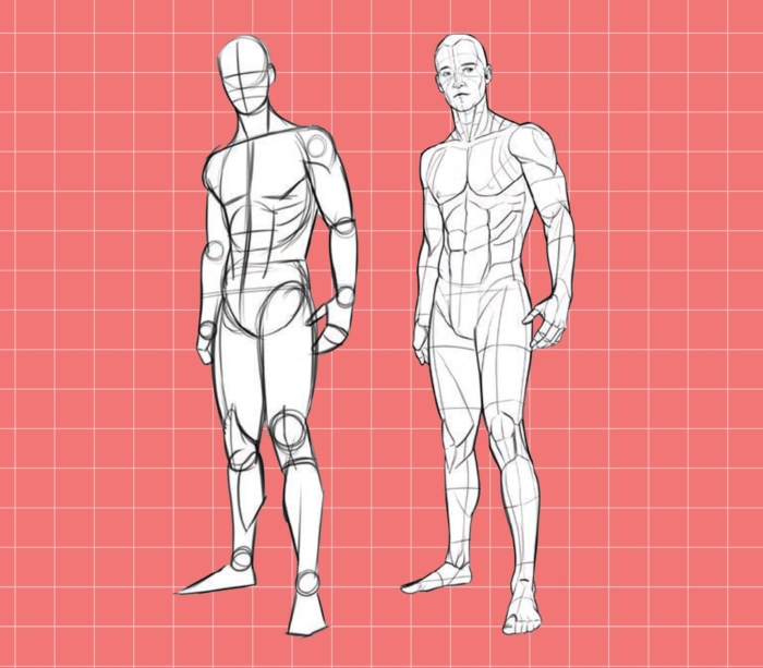 Dibujos del cuerpo humano para dibujar