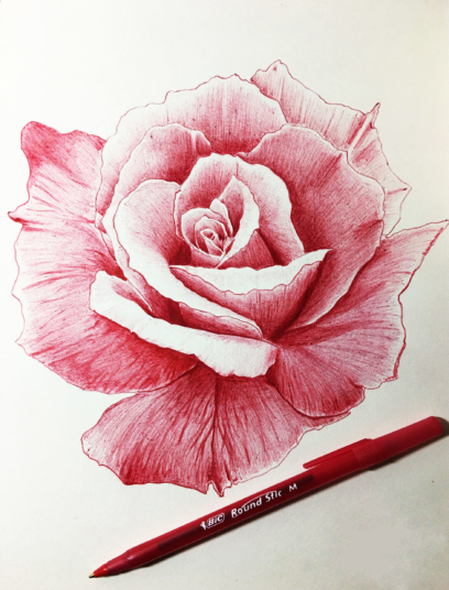 Roses Drawings And Pictures For Sketching