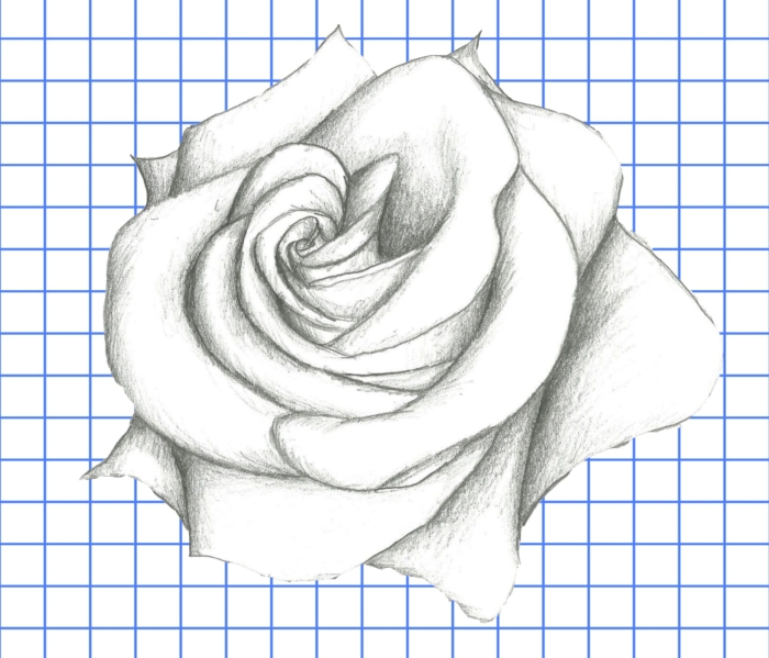 رسومات الورود وصور للرسم