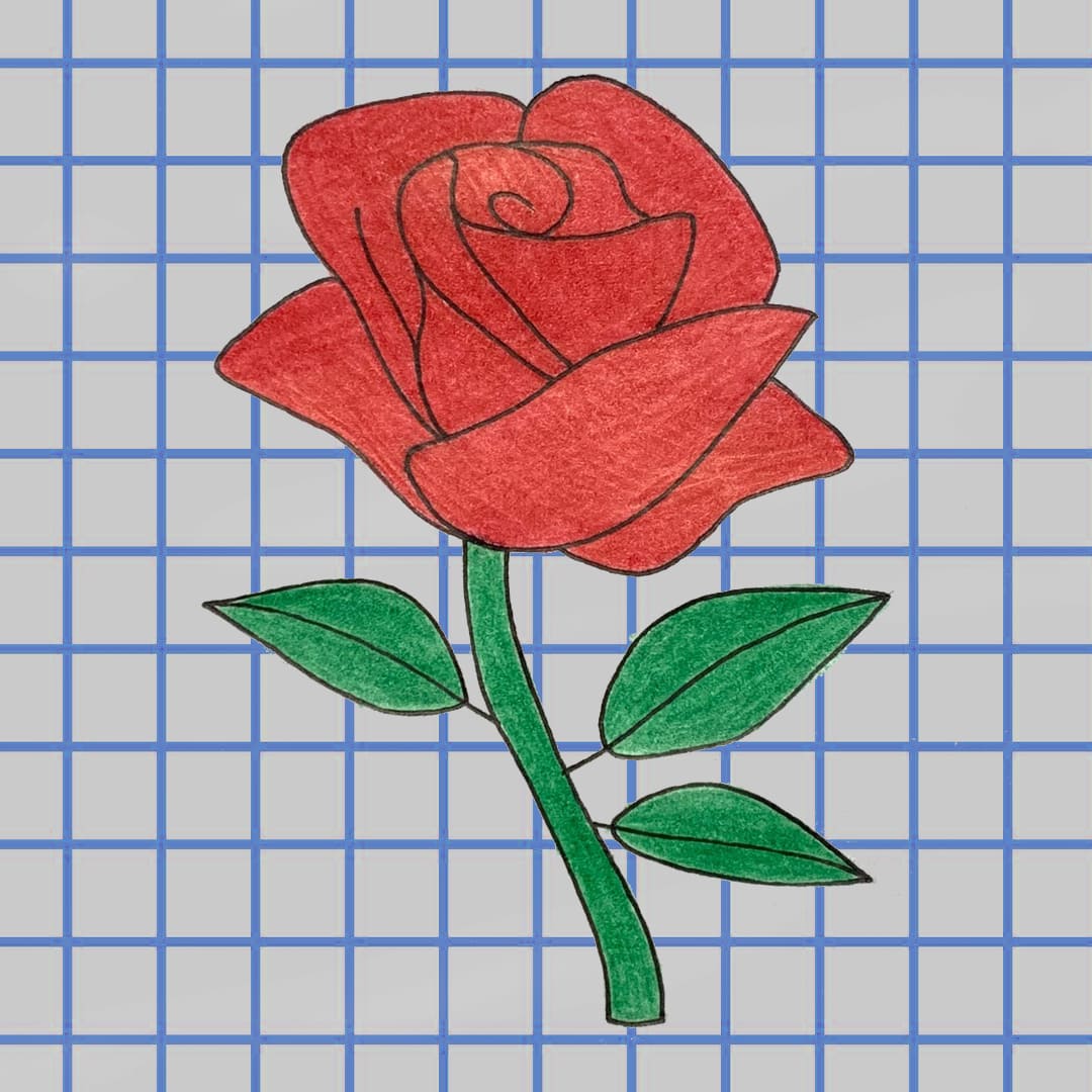 Рисунки для срисовки лёгкие на весь лист роза цветная
