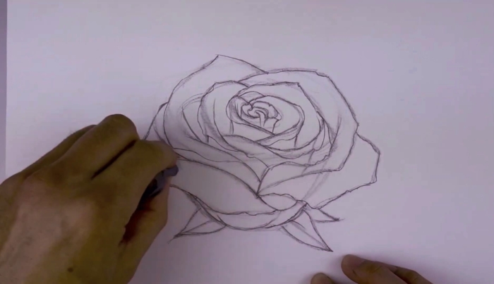 スケッチのためのバラの図面と写真