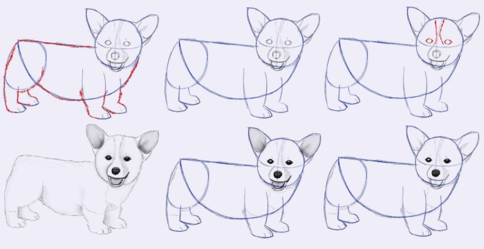Hundezeichnungen zum Skizzieren