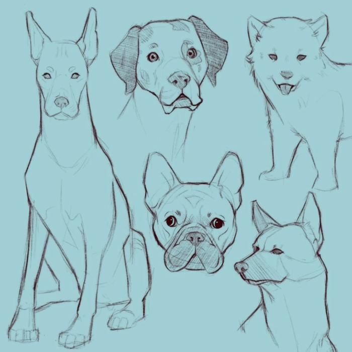 Hundezeichnungen zum Skizzieren