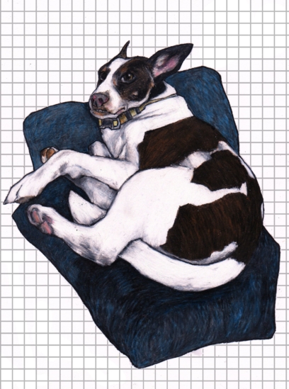 Рисунки собак - картинки для срисовки