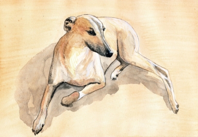 Рисунки собак - картинки для срисовки