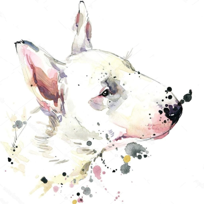 Kresby psů - obrázky pro skicování
