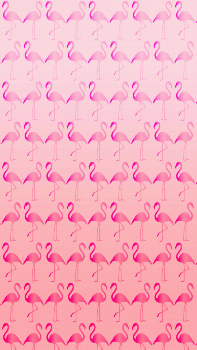 Flamingo-Hintergrundbild für das Handy