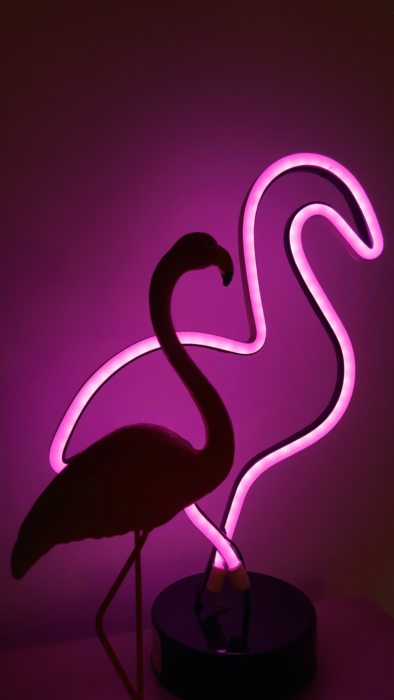 Flamingo Phone Wallpaper