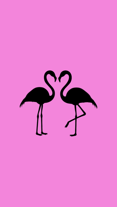 Фламинго телефонные обои, большая коллекция