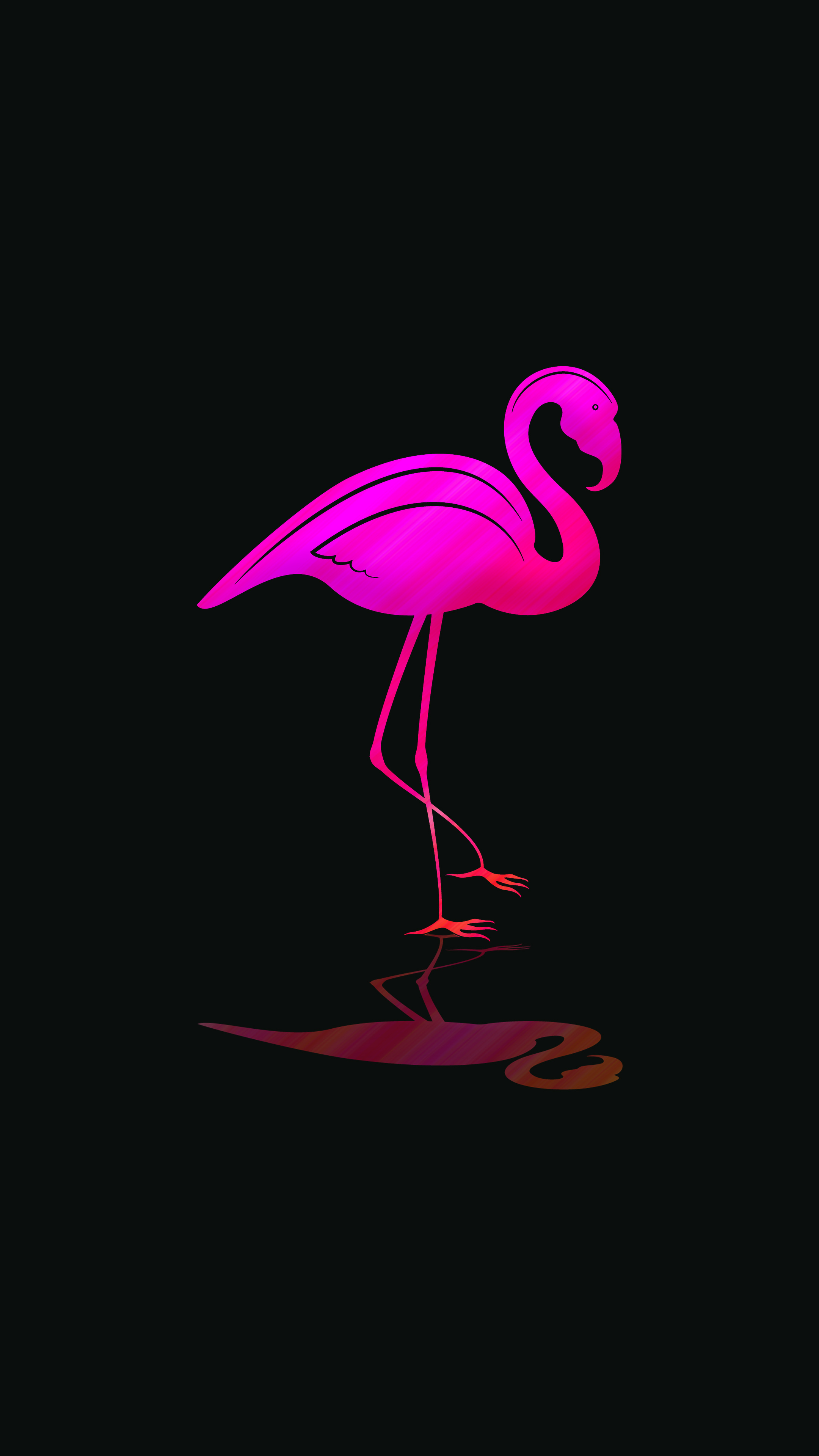 flamingo-phone-wallpaper-thypix-76