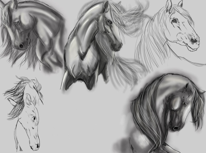 Rysunki koni do szkicowania - 100 zdjęć za darmo