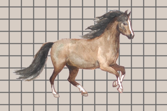 Kresby koní pro skicování - 100 obrázků zdarma