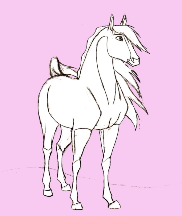 رسومات الحصان للرسم