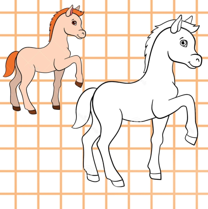 Horse Drawings For Sketching - 100 Pictures For Free