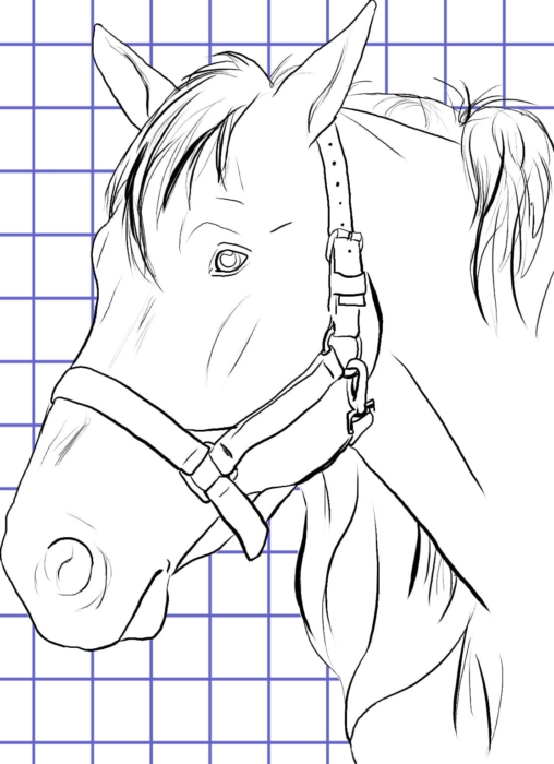 Desenhos de cavalos para esboçar - 100 imágenes grátis