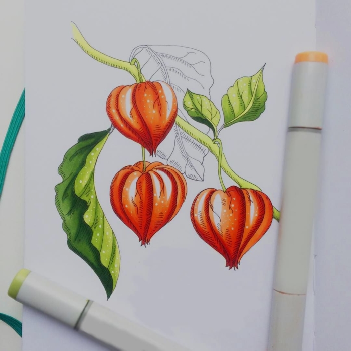 Drawings With Markers For Sketching