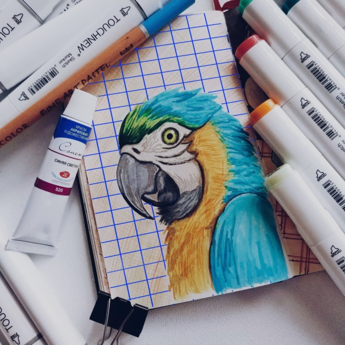 Dibujos con rotuladores para esbozar