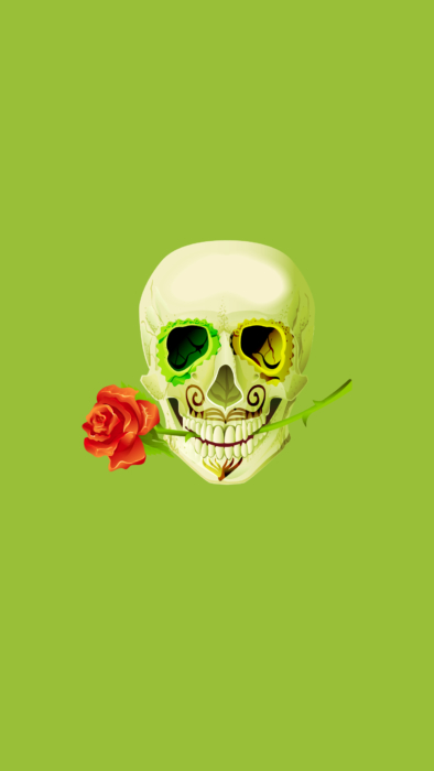 3D Skull Wallpapers 47 images